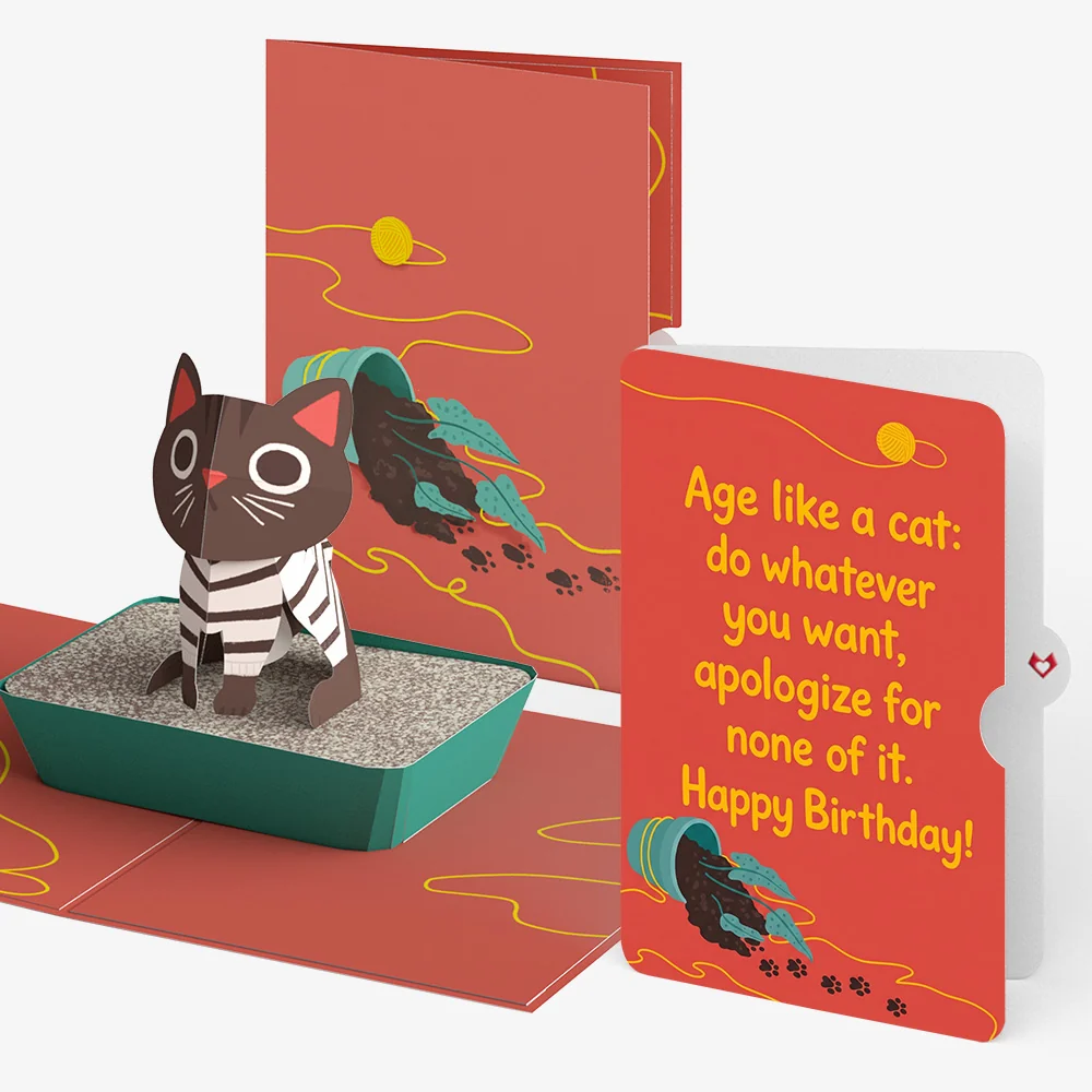Lovepop Mischievous Cat Birthday Pop-Up Card and Age Like a Cat Sentiment Set Pot
