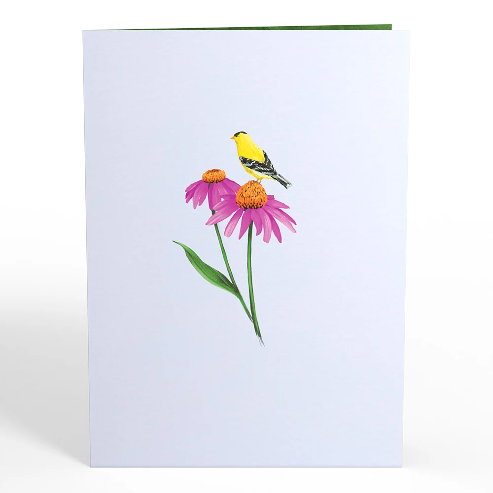 Lovepop Summer Welcome Pop-Up Card - Image 4