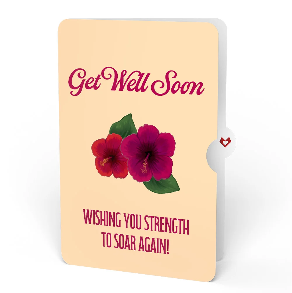 Lovepop Rainforest Toucan Get Well Soon Pop-Up Card and Hibiscus Sentiment Set - Image 4
