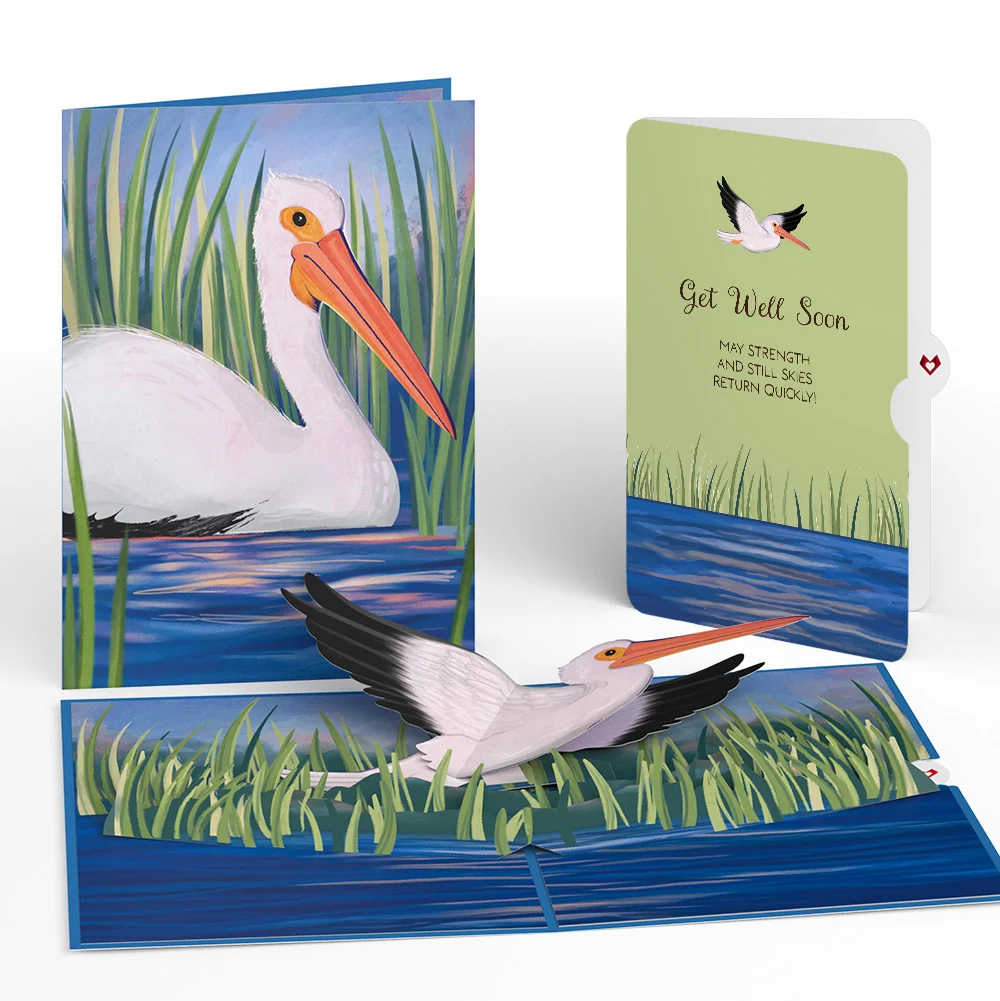 Lovepop Pelican in the Marsh Get Well Soon Pop-Up Card and Sentiment Set