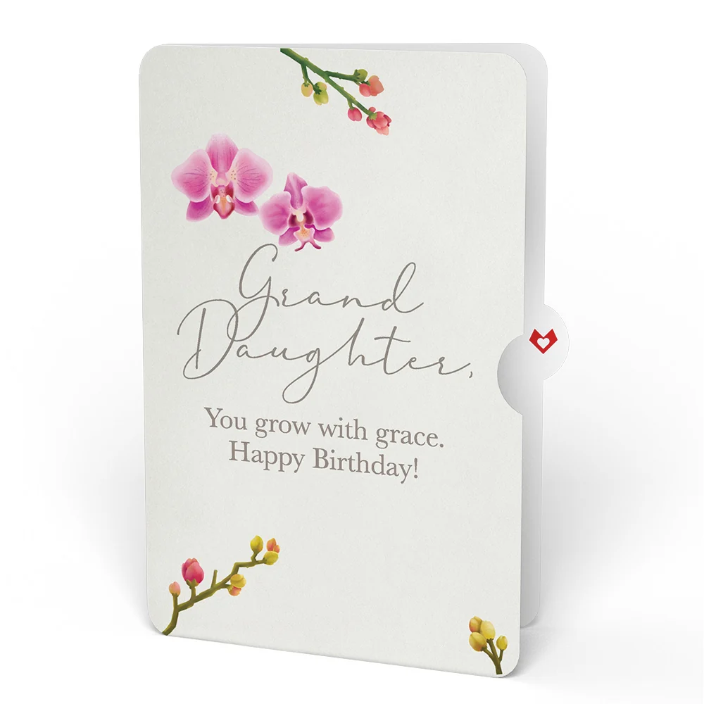 Lovepop Orchid Birthday Bouquet and Sentiment Set for Granddaughter Vase - Image 4