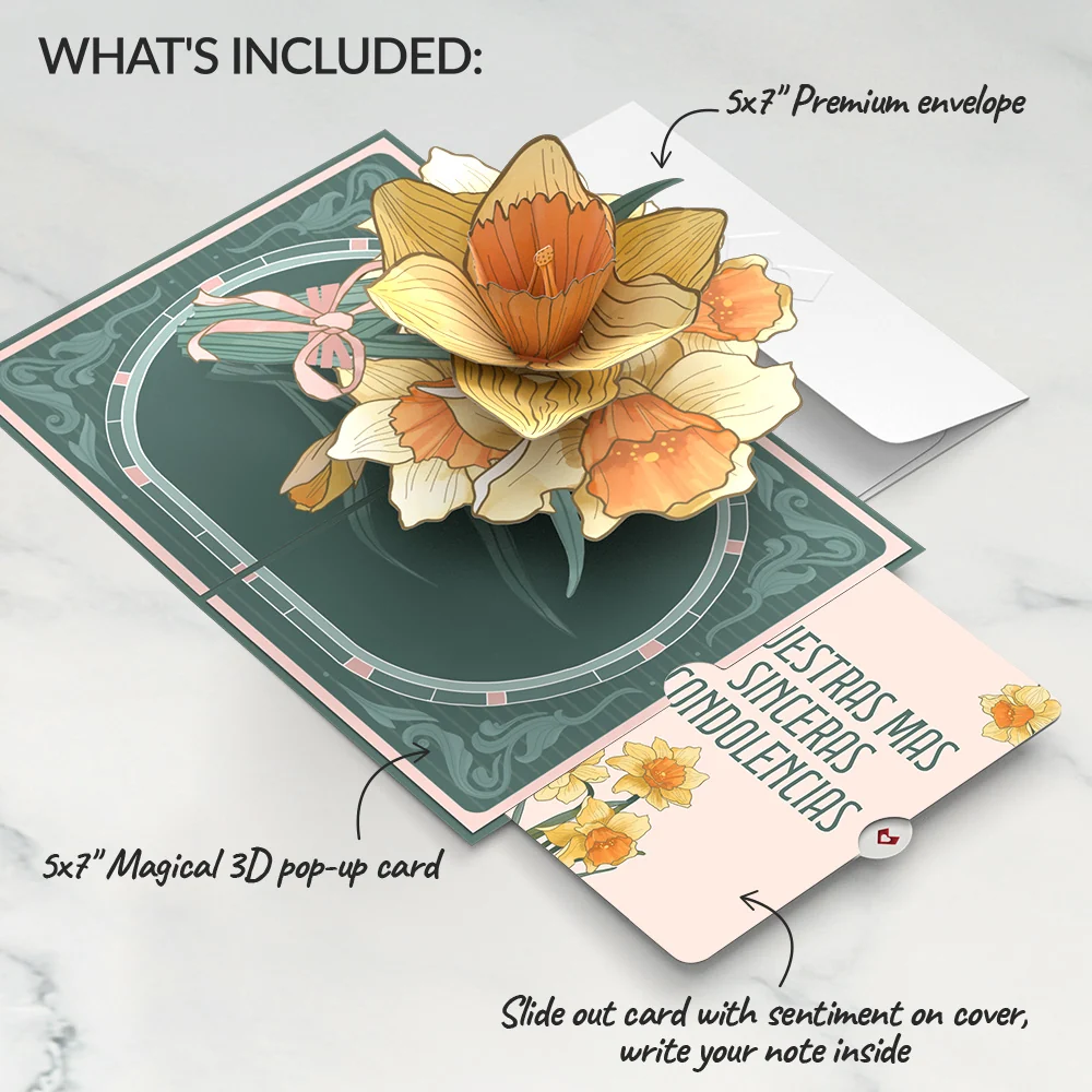 Lovepop Daffodils in Bloom Pop-Up Card and Spanish Sympathy Sentiment Set - Image 2