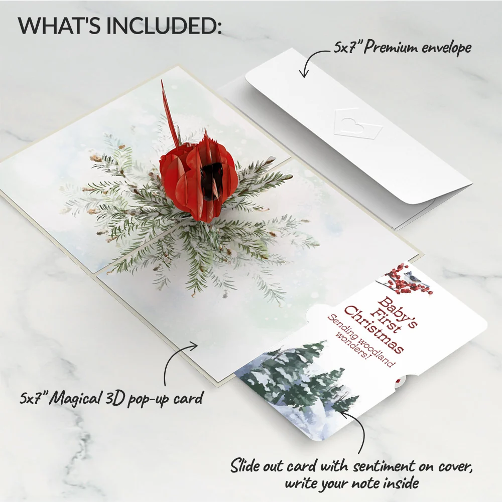 Lovepop Winter Cardinal First Christmas Pop-Up Card and Sentiment Set for Baby - Image 2
