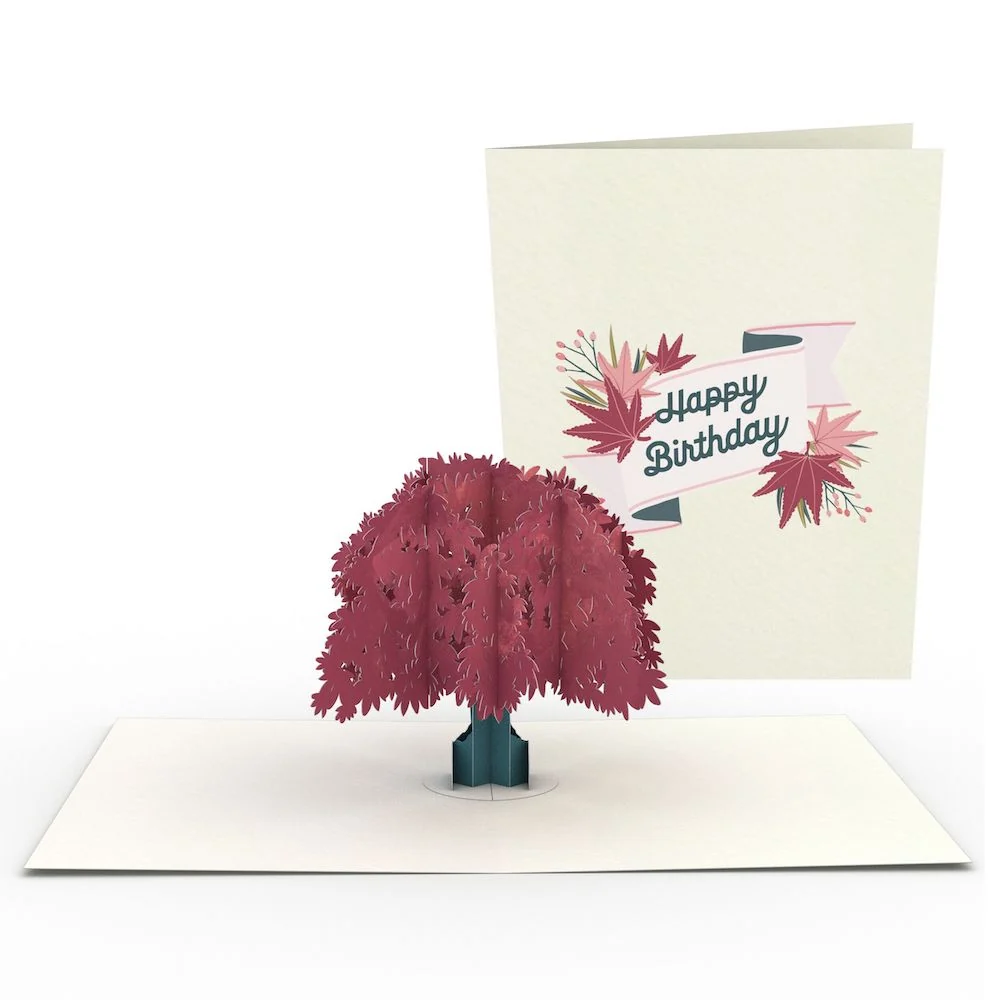 Lovepop Birthday Garden Notecards (Assorted 4-Pack) - Image 5