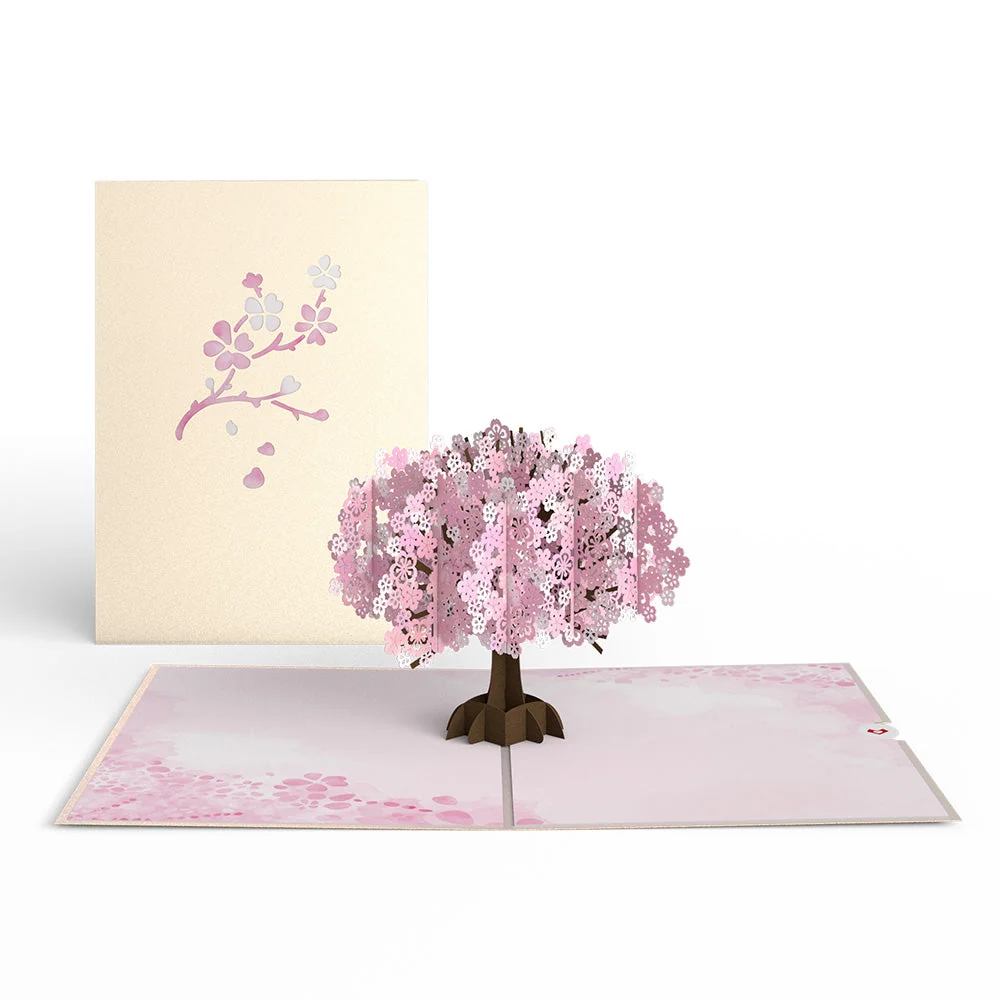 Lovepop Lovely Blooms 3-Pack Basket - Image 8