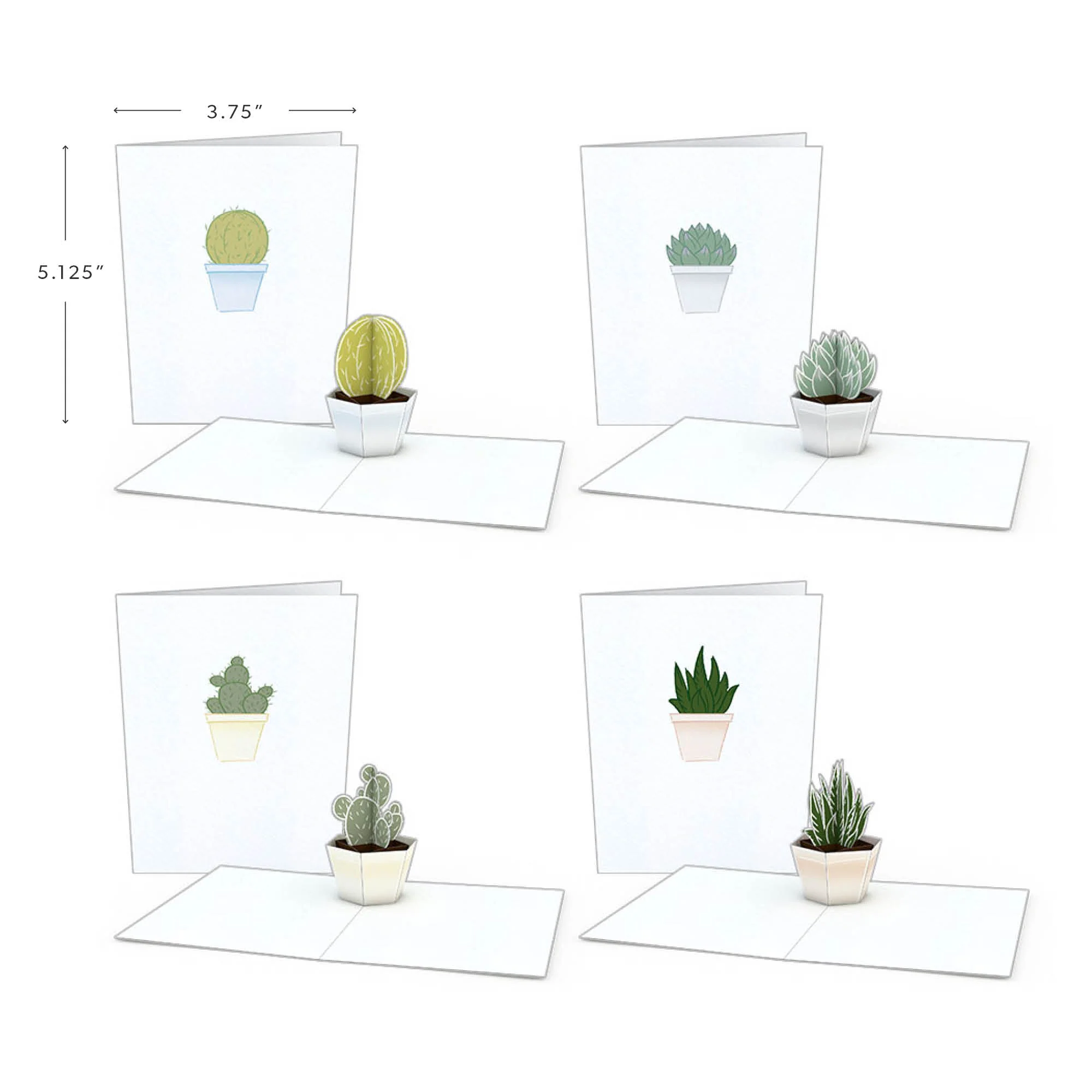 Lovepop Greenhouse Card & Notecard 4-Pack Bundle Pot - Image 5