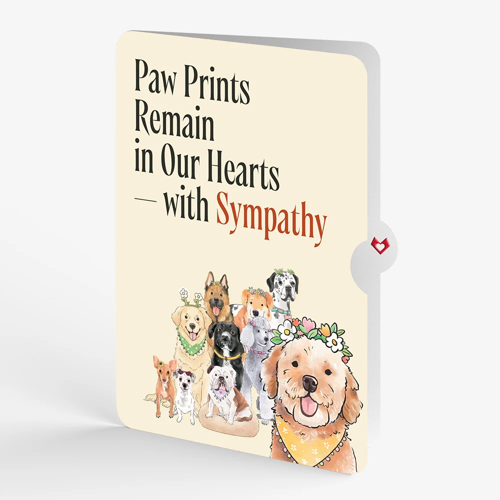 Lovepop Dog Mom Sympathy Pop-Up Card and Sentiment Set Cream - Image 4