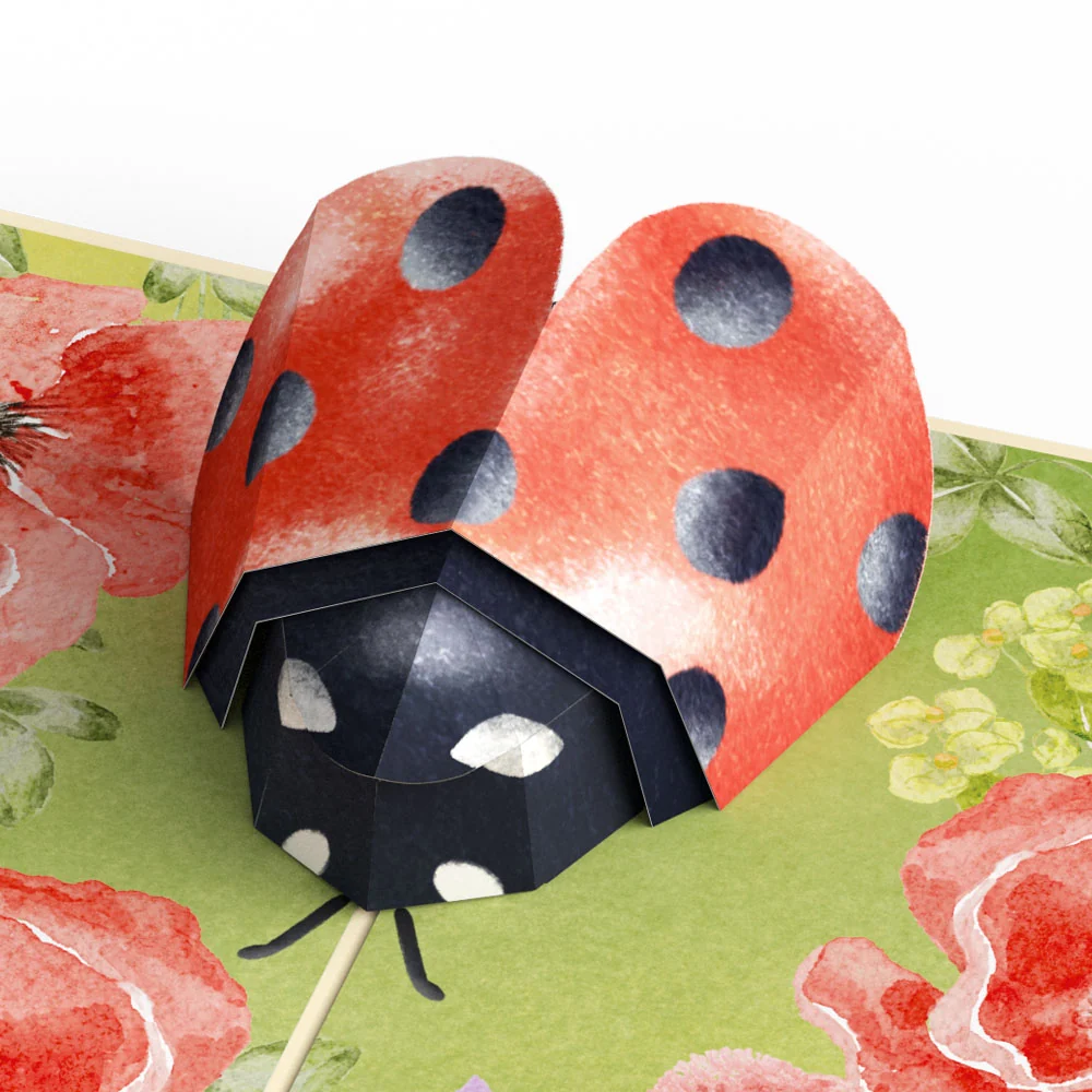 Lovepop Lovely Ladybug Pop-Up Card - Image 2