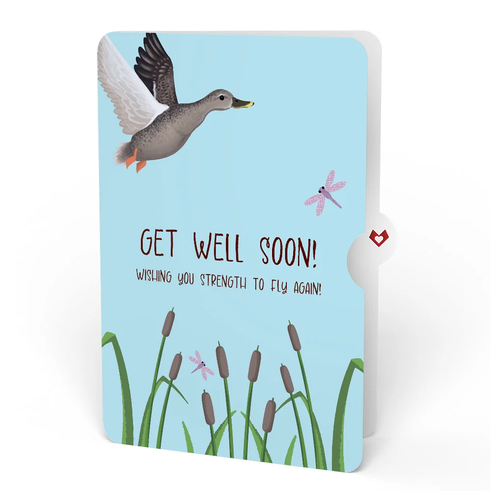 Lovepop Pondside Mallard Ducks Get Well Soon Pop-Up Card and Sentiment Set - Image 4