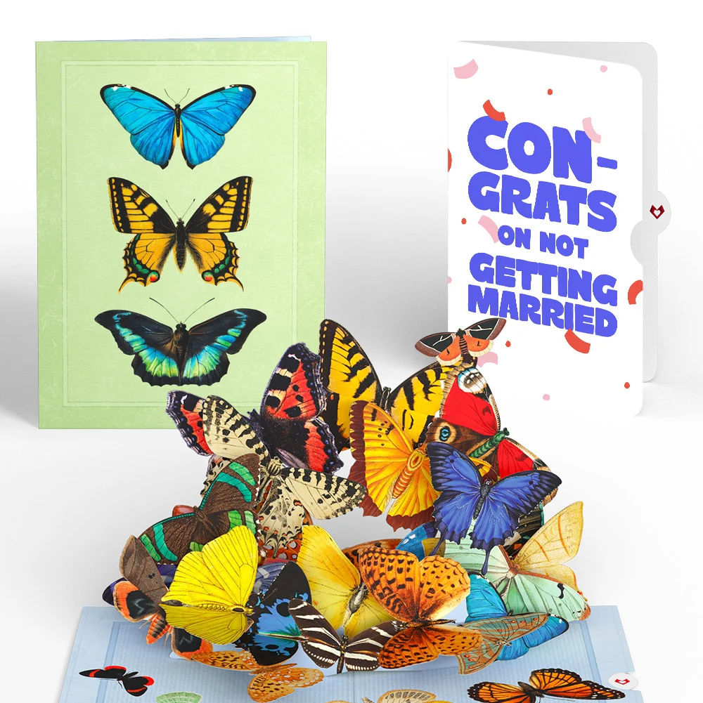 Lovepop Butterflies in Flight Breakup Pop-Up Card and Playful Confetti Sentiment Set