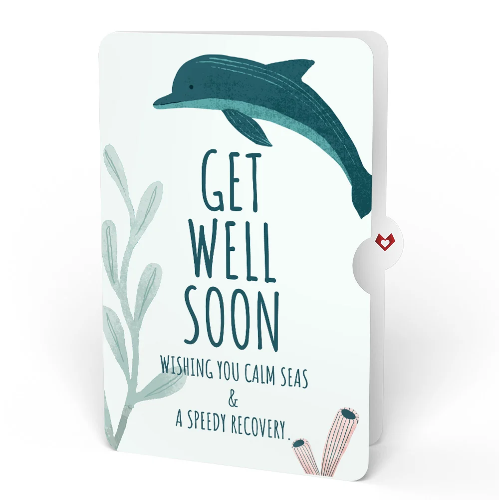 Lovepop Playful Dolphins Get Well Soon Pop-Up Card and Sentiment Set - Image 4