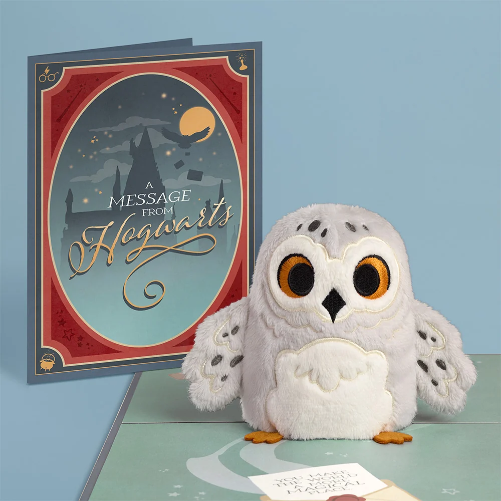 Lovepop Harry Potter Hedwig ‘Message from Hogwarts’ Plushpop Card