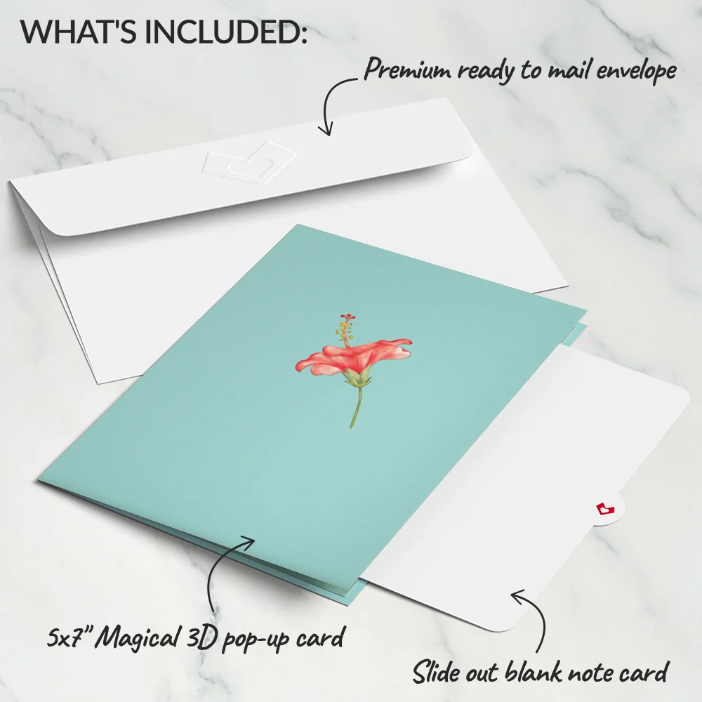 Lovepop Hibiscus Bloom Pop-Up Card - Image 5