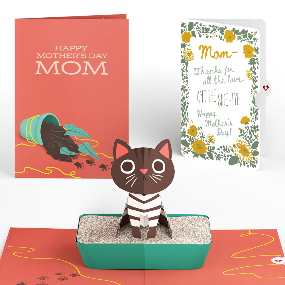 Lovepop Thanks for Putting Up with My Crap Mother’s Day Pop-Up Card and Golden Wildflower Frame Sentiment Set for Mom