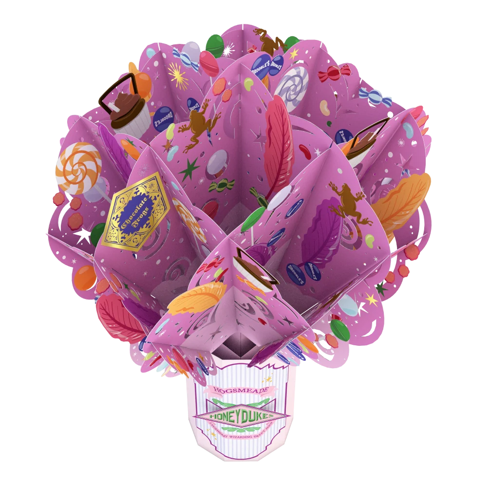 Lovepop Harry Potter Sweet Birthday Bundle - Image 4