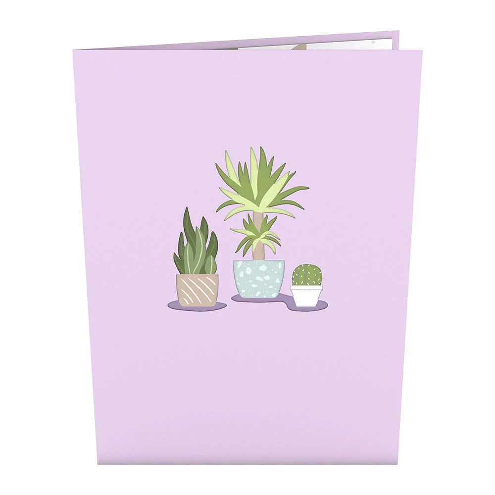 Lovepop Greenhouse Plant Bundle Pot - Image 5