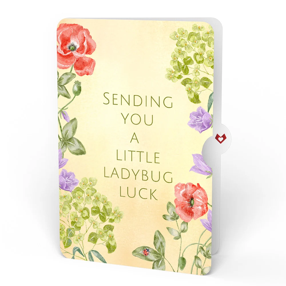 Lovepop Lovely Ladybug Love Glitter Bouquet and Sentiment Set Vase - Image 4