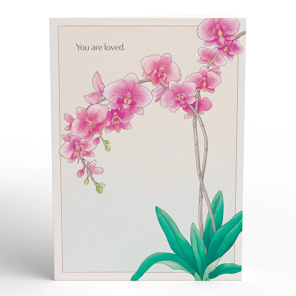 Lovepop Mother’s Day Orchid Pop-Up Card & Suncatcher Bouquet Bundle - Image 5