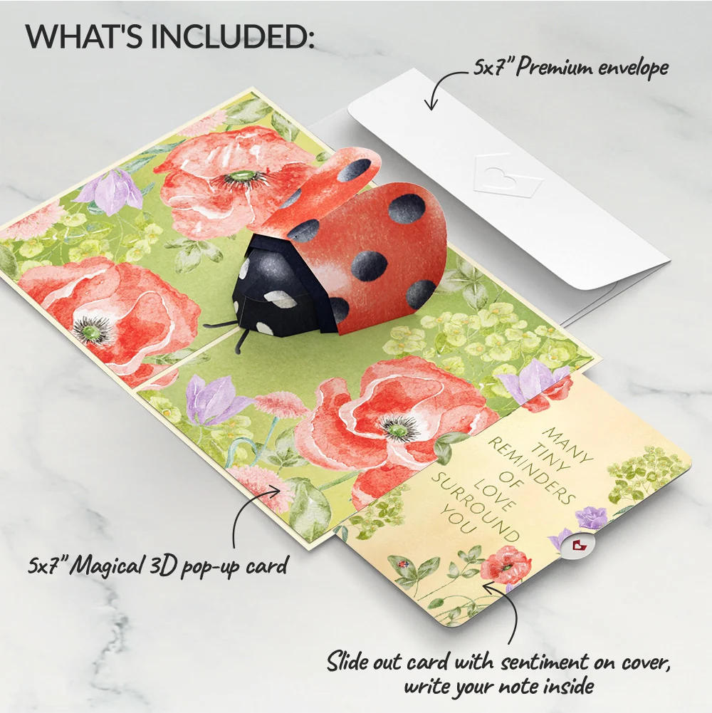 Lovepop Lovely Ladybug Sympathy Pop-Up Card and Sentiment Set Cream - Image 2
