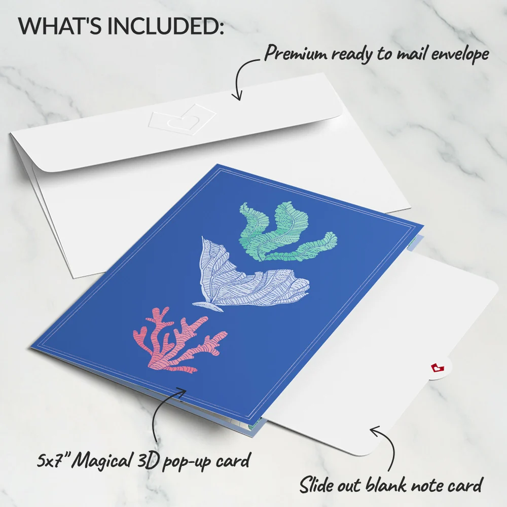 Lovepop Vibrant Lobster Pop-Up Card - Image 5