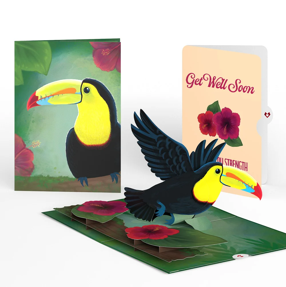 Lovepop Rainforest Toucan Get Well Soon Pop-Up Card and Hibiscus Sentiment Set