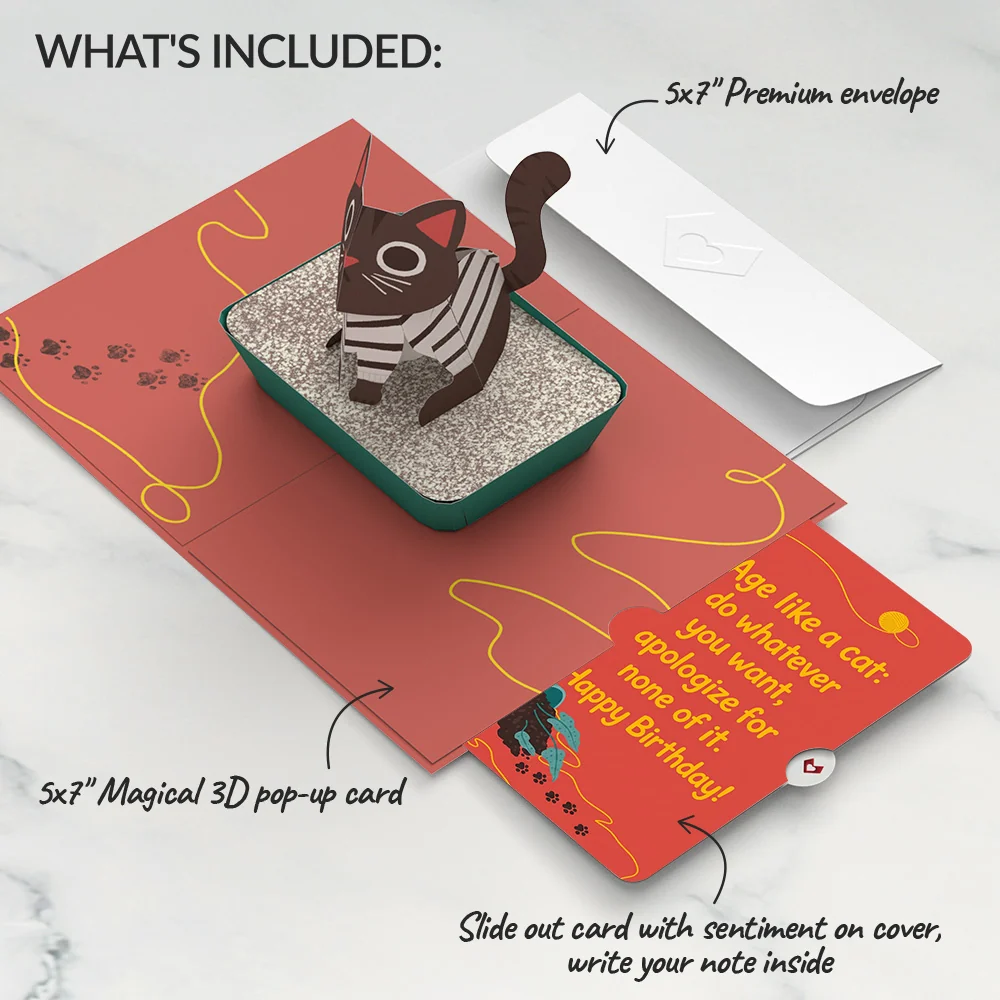 Lovepop Mischievous Cat Birthday Pop-Up Card and Age Like a Cat Sentiment Set Pot - Image 2