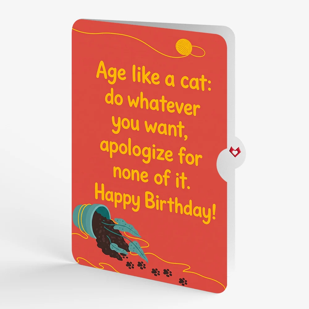 Lovepop Mischievous Cat Birthday Pop-Up Card and Age Like a Cat Sentiment Set Pot - Image 4