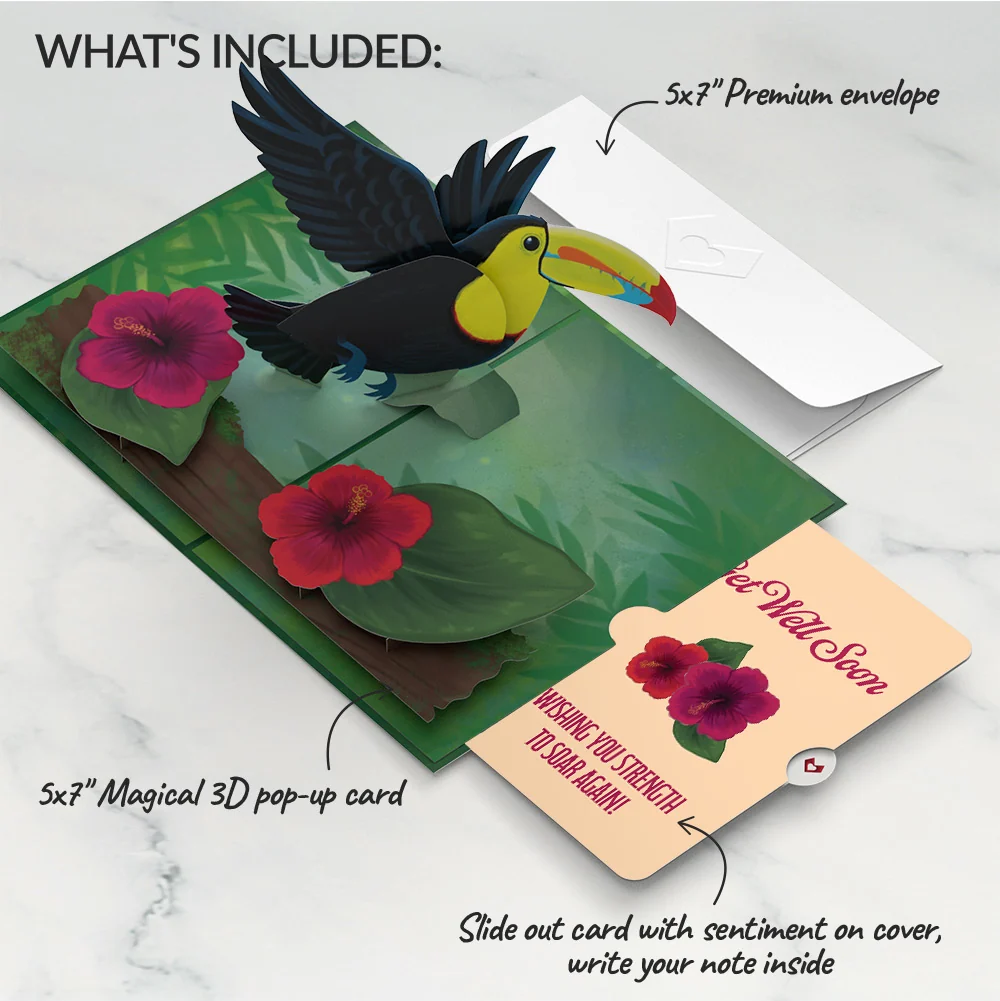 Lovepop Rainforest Toucan Get Well Soon Pop-Up Card and Hibiscus Sentiment Set - Image 2