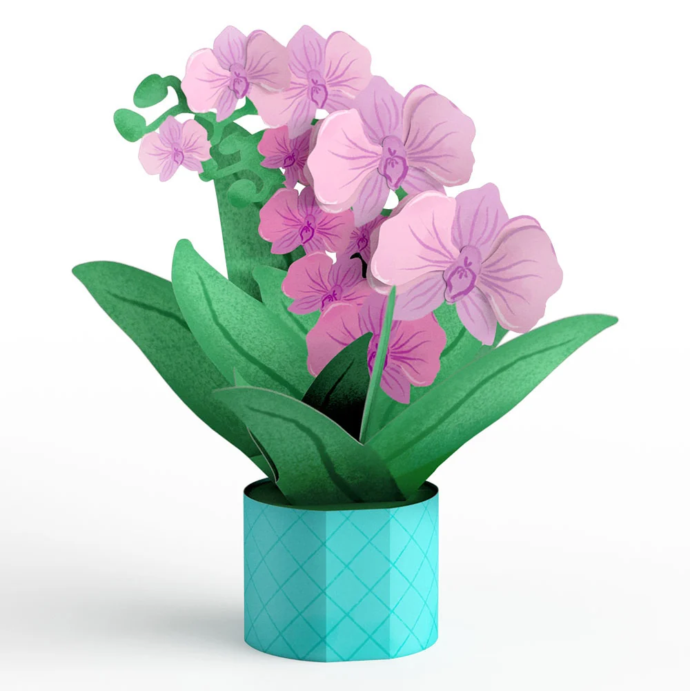 Lovepop Orchid Breakup Card with Mini Bouquet and Playful Confetti Sentiment Set Pot - Image 3