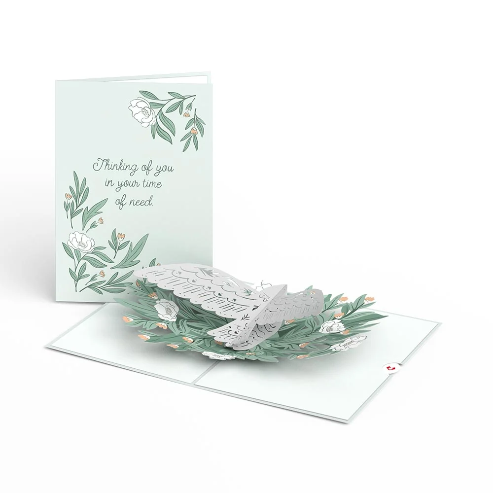 Lovepop Sympathy 3-Pack - Image 2