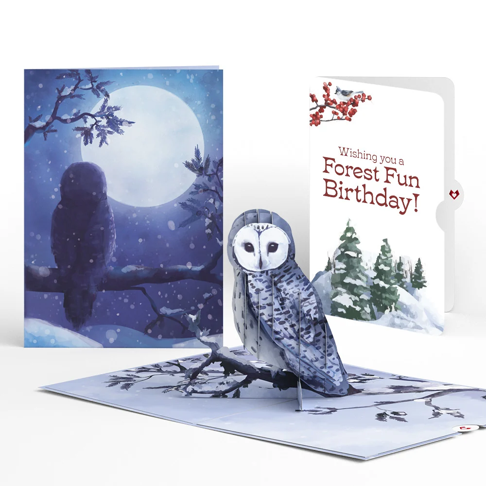 Lovepop Snowy Owl Birthday Pop-Up Card and Forest Fun Sentiment Set