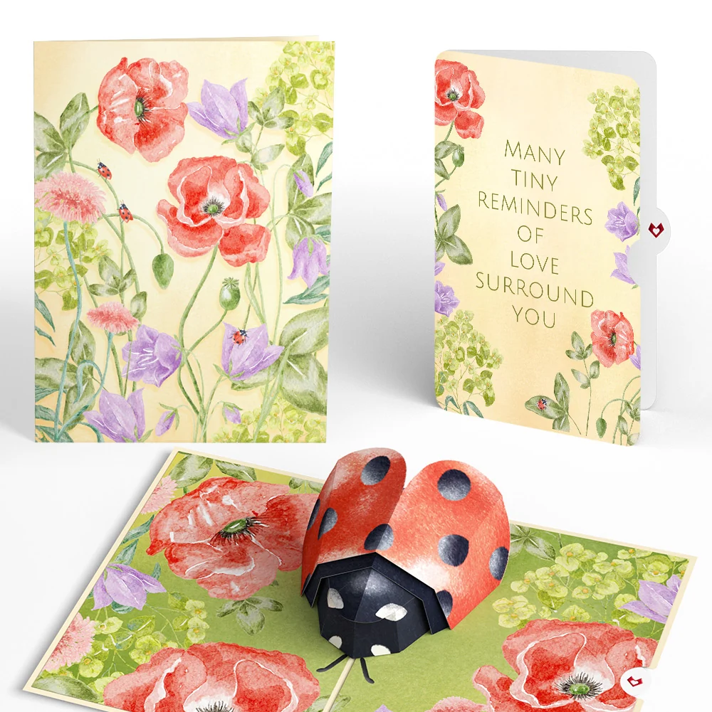 Lovepop Lovely Ladybug Sympathy Pop-Up Card and Sentiment Set Cream