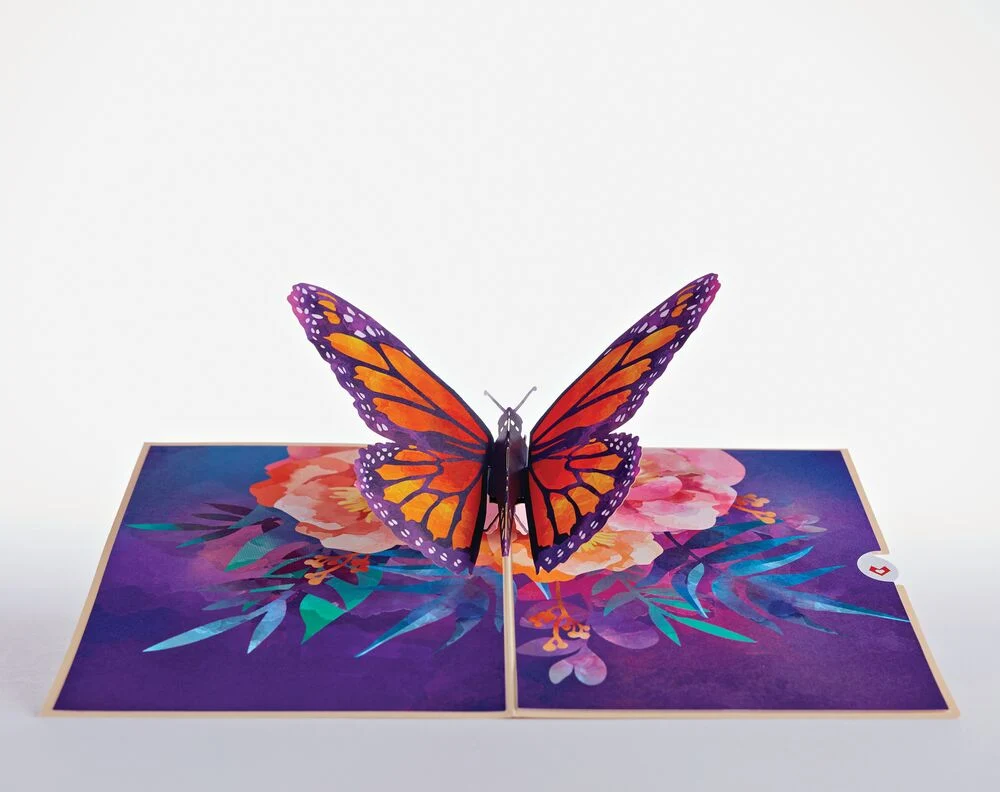 Lovepop Wildflower & Monarch Butterfly Bundle - Image 2