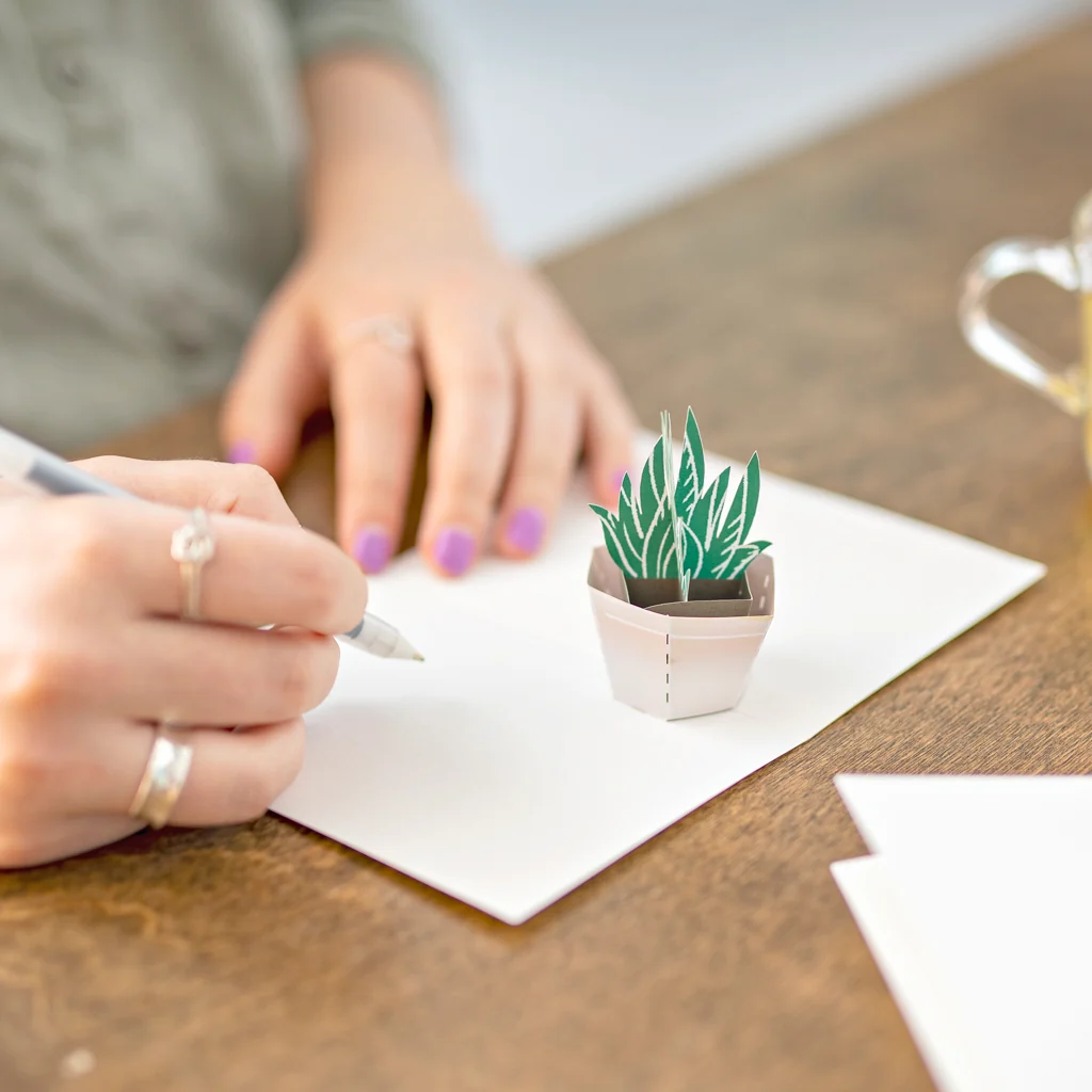 Lovepop Succulent Notecards (Assorted 4-Pack) - Image 2