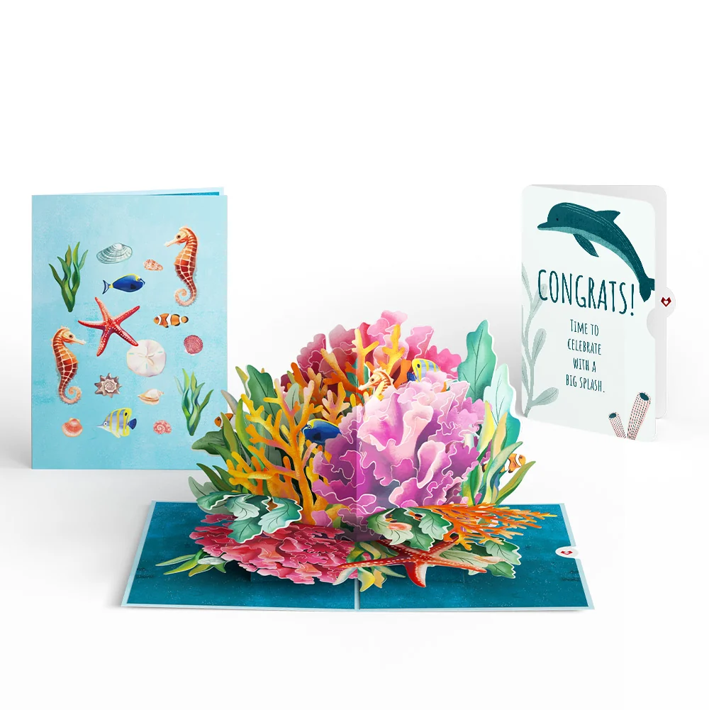 Lovepop Coral Reef Wonders Congratulations Pop-Up Card and Sentiment Set