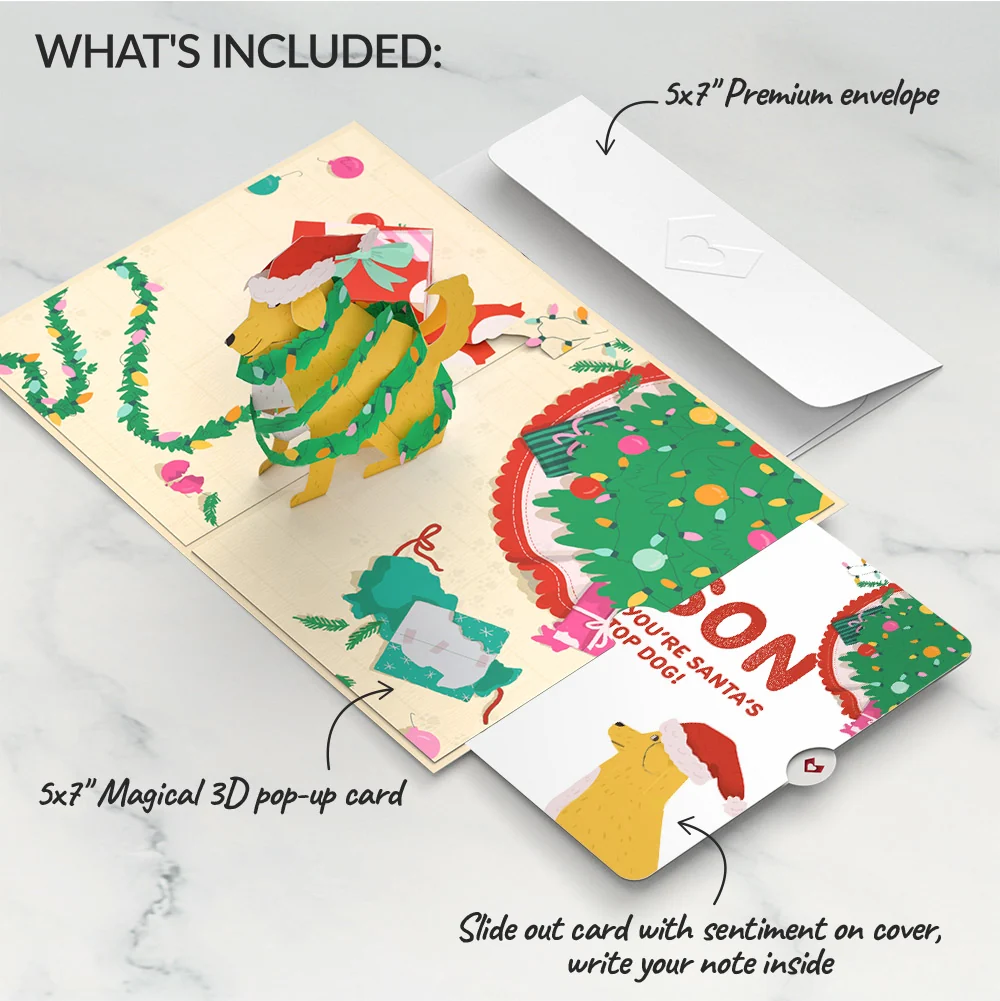 Lovepop Feliz Naughty Dog Christmas Pop-Up Card and Sentiment Set for Son - Image 2