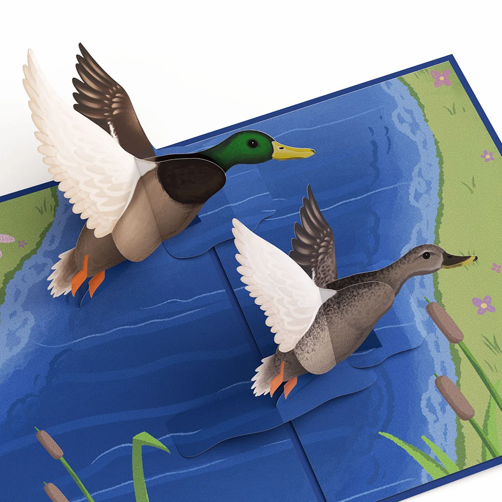 Lovepop Pondside Mallard Ducks Congratulations Pop-Up Card and Sentiment Set - Image 3