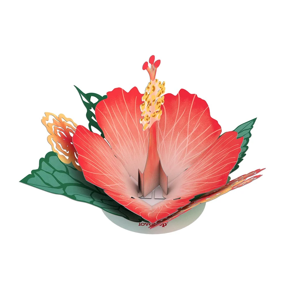 Lovepop Stickerpop: Hibiscus Bloom (1-Pack)