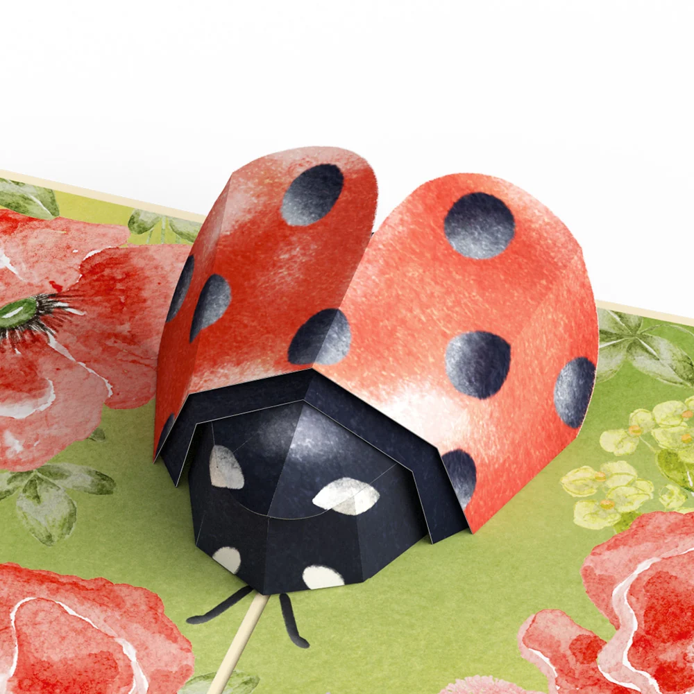 Lovepop Lovely Ladybug Sympathy Pop-Up Card and Sentiment Set Cream - Image 3