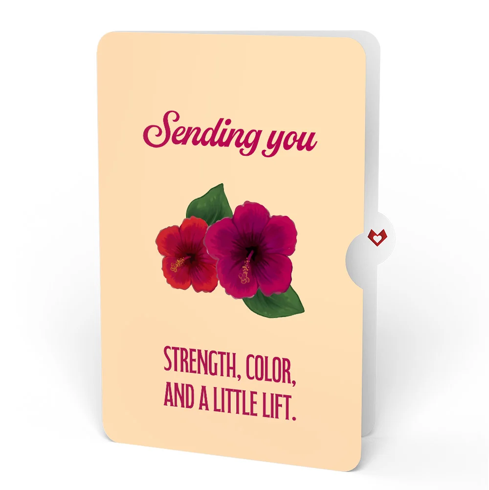 Lovepop Rainforest Toucan Encouragement Pop-Up Card and Hibiscus Sentiment Set - Image 4
