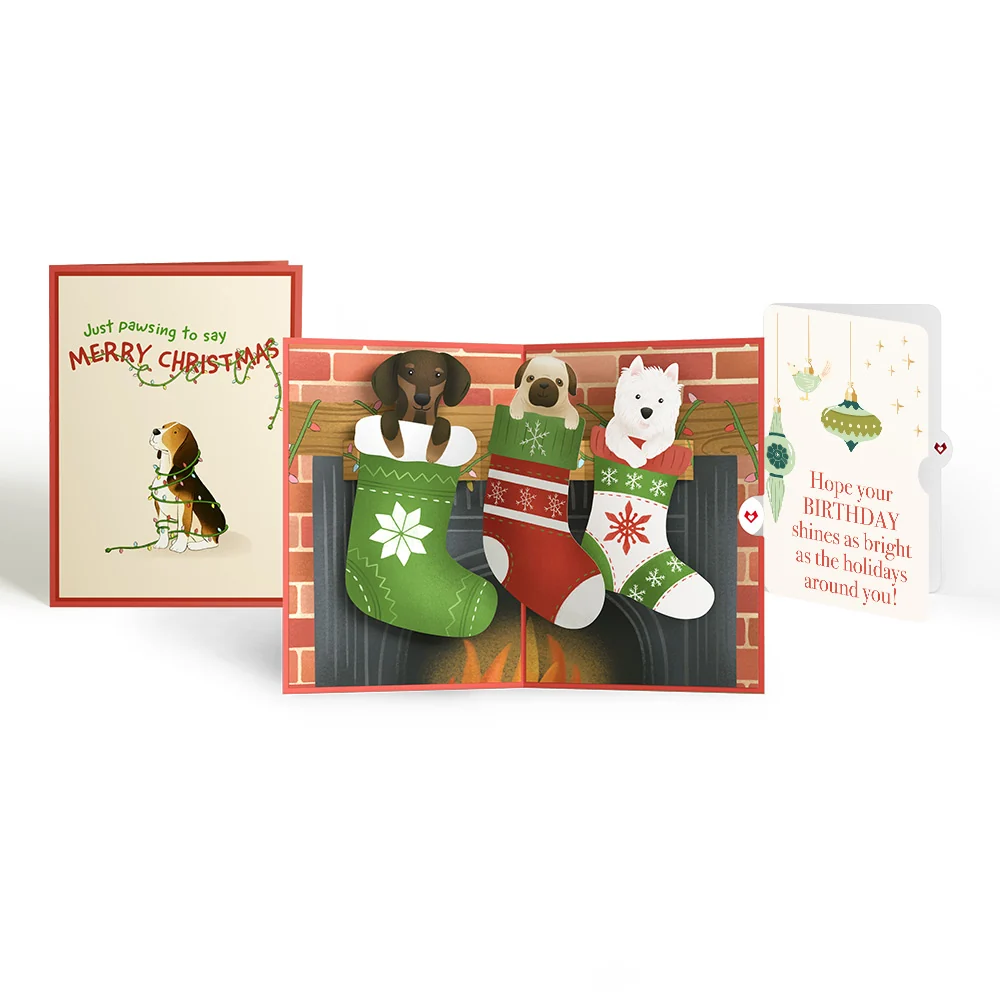 Lovepop Christmas Dog Stockings Pop-Up Card and Twinkling Ornaments Birthday Sentiment Set Cream