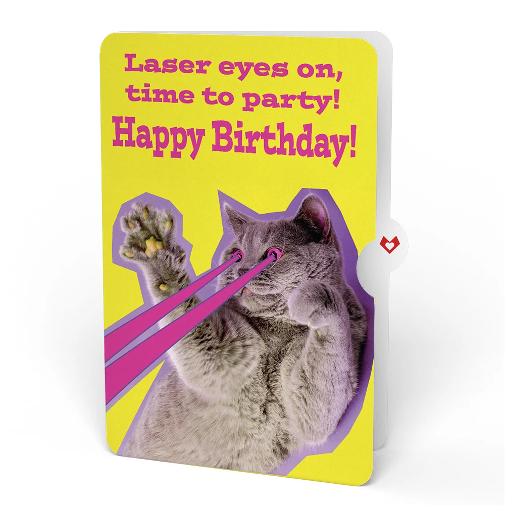 Lovepop Purr-fect Cat Birthday Bouquet and Cat Laser Eyes Sentiment Set Vase - Image 4