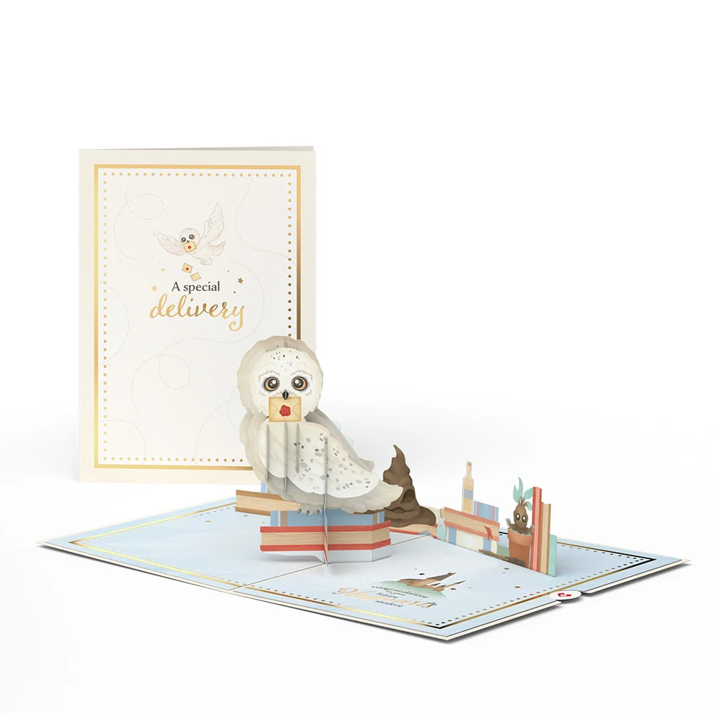Lovepop Harry Potter Special Delivery Baby Pop-Up Card
